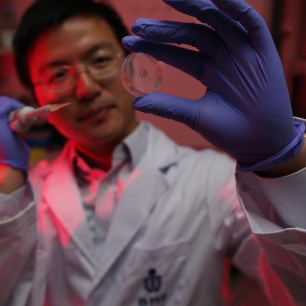 Prof. Sun Fei and the new protein-based hydrogel developed by his team.