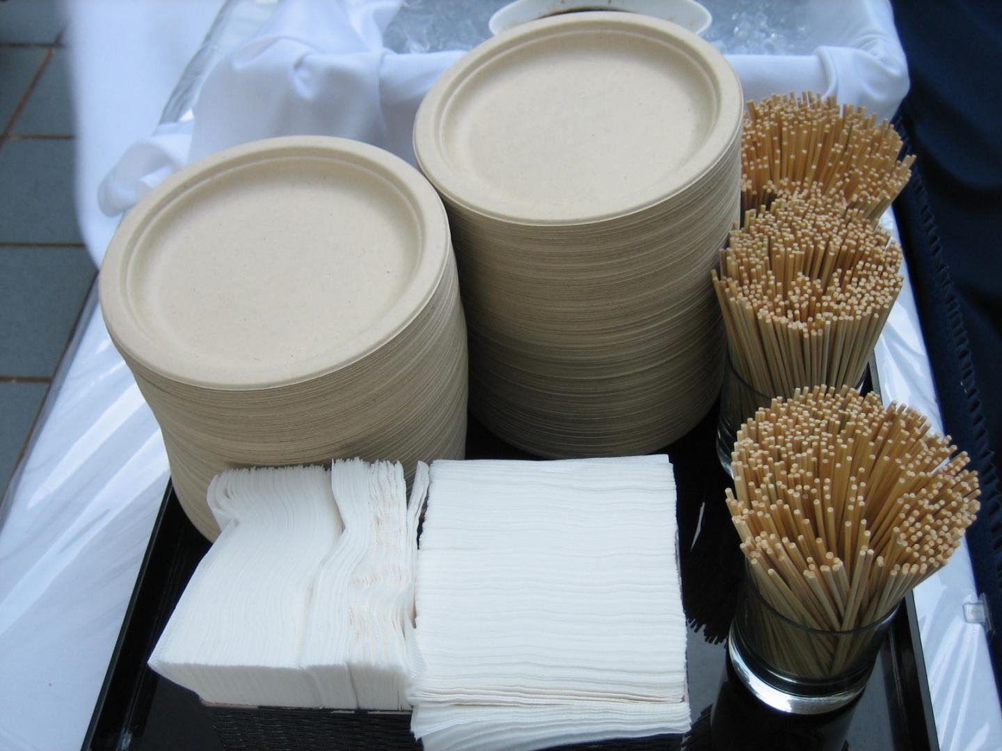 Plates, napkins and sticks that can be composted	