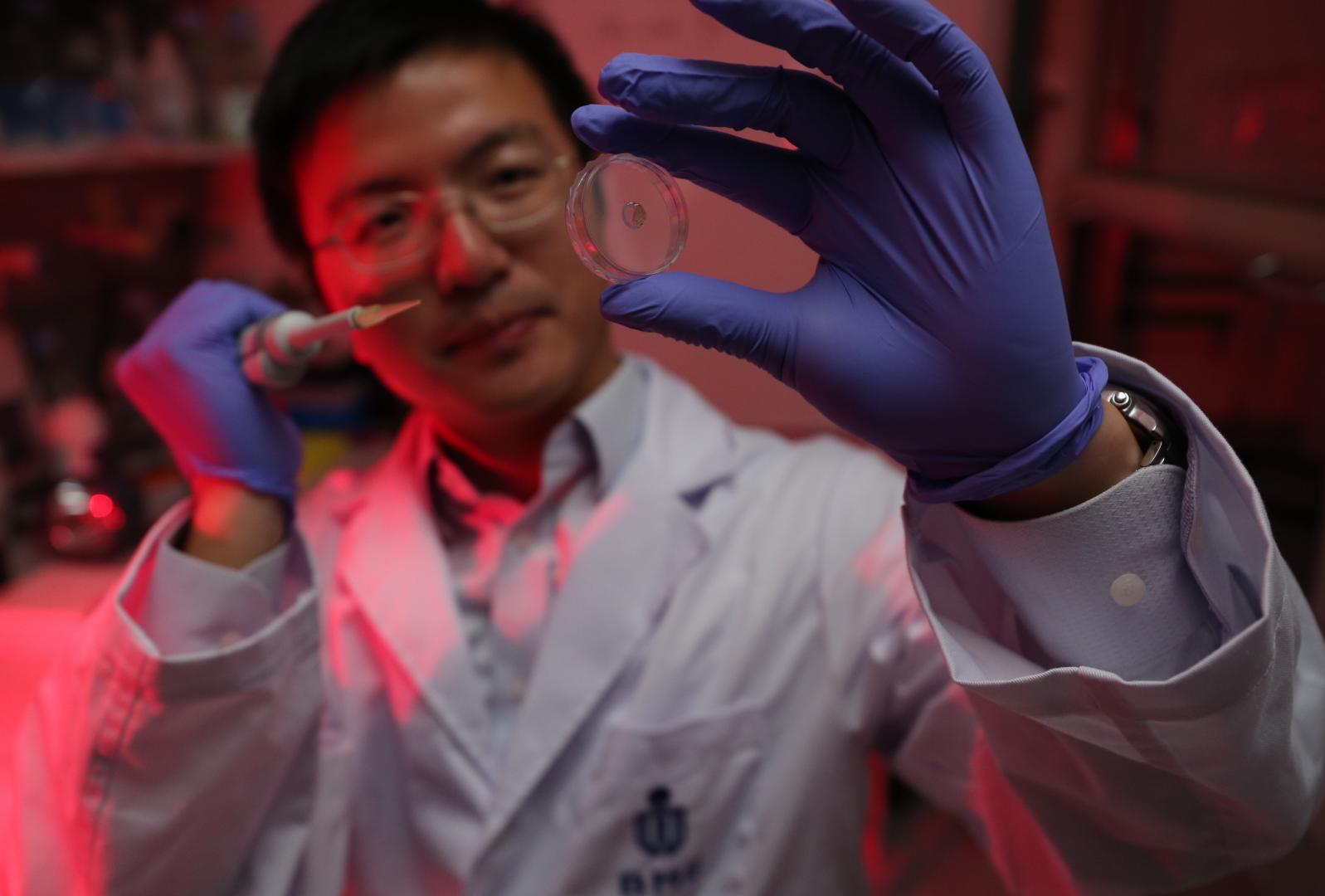 Prof. Sun Fei and the new protein-based hydrogel developed by his team.