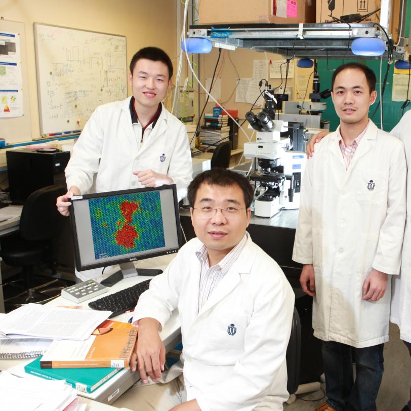 香港科技大学首次实现在单粒子尺度上直接观测晶体的均匀熔化 