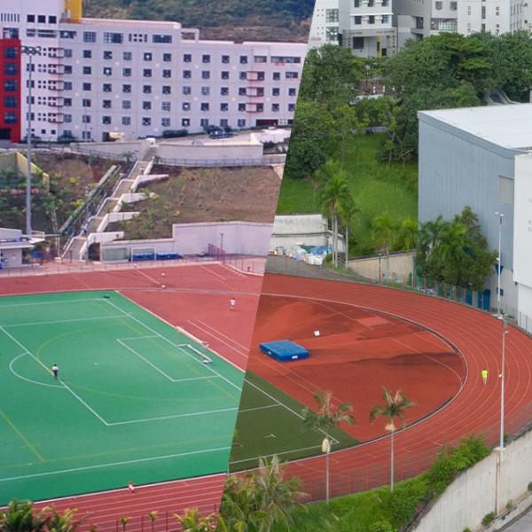 Sed volutpat turpis nec nunc